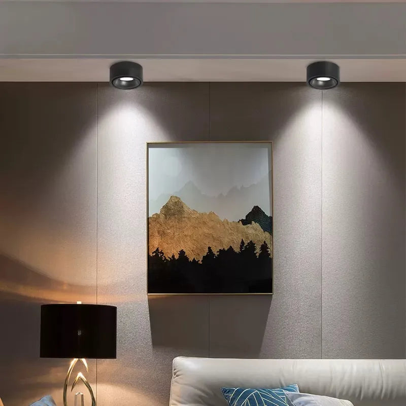 Matte Cylinder Ceiling Spot Light | Ormexis