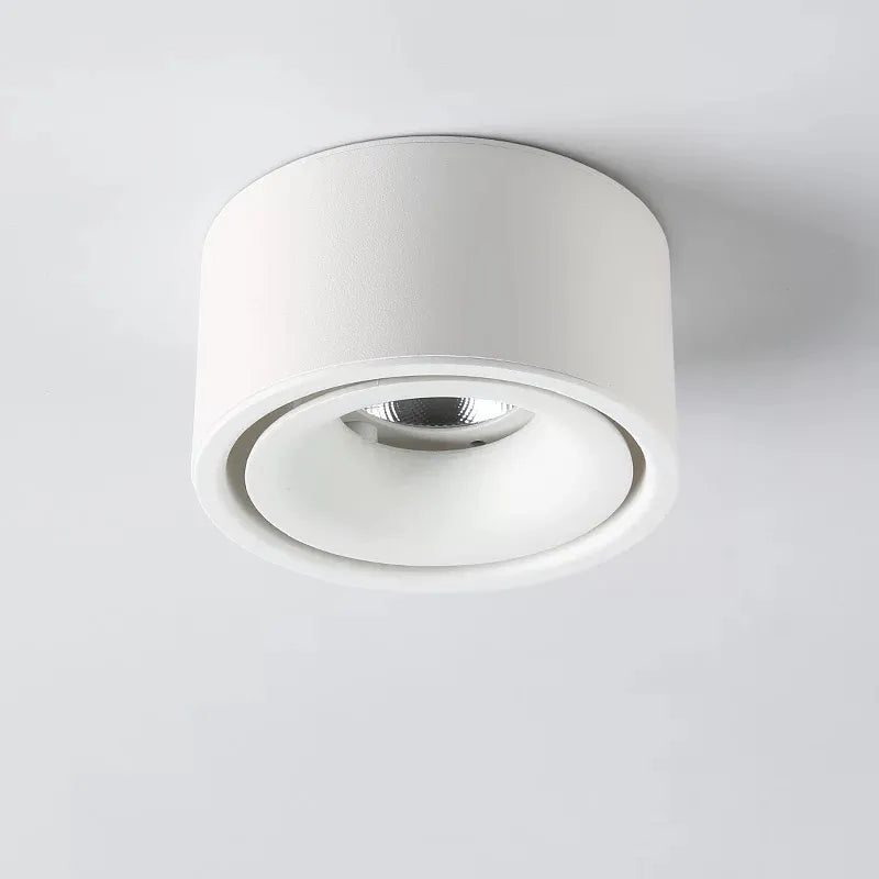 Matte Cylinder Ceiling Spot Light | Ormexis