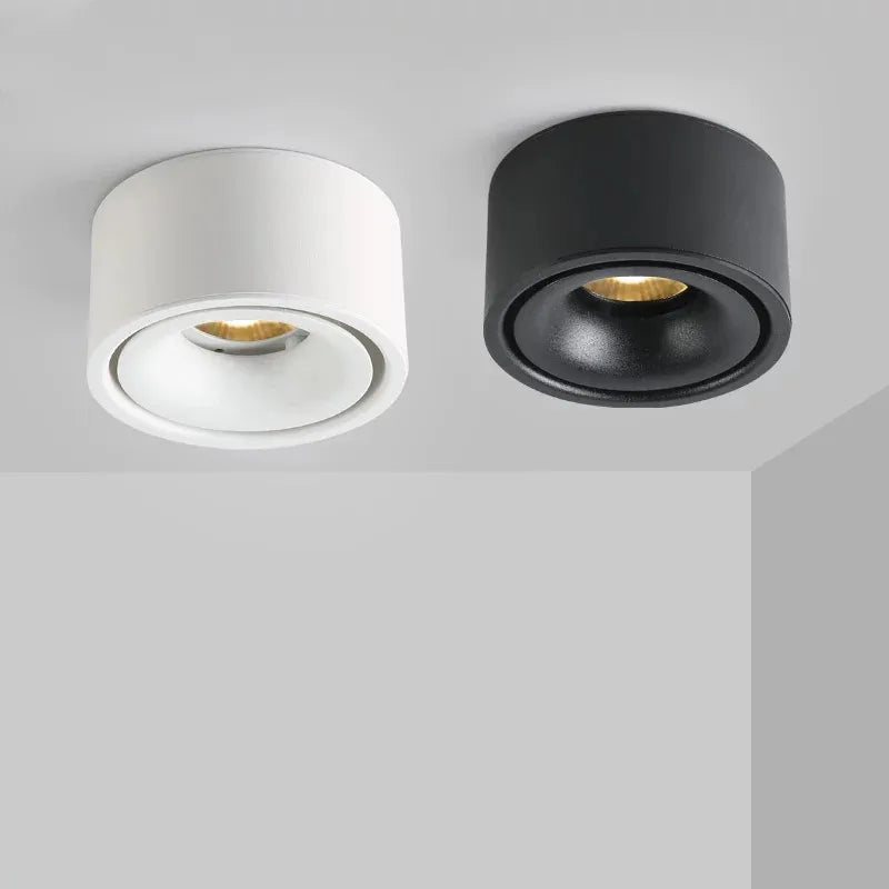 Matte Cylinder Ceiling Spot Light | Ormexis