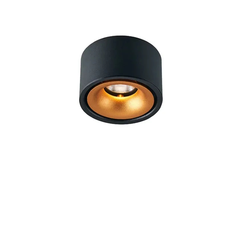 Matte Cylinder Ceiling Spot Light | Ormexis
