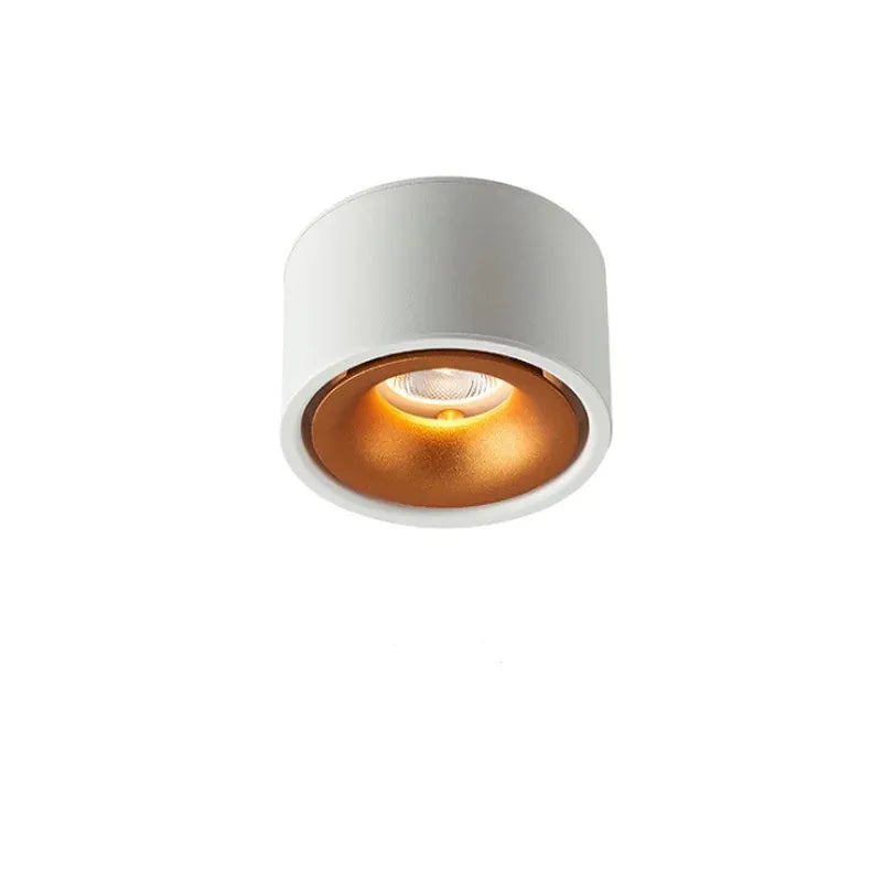 Matte Cylinder Ceiling Spot Light | Ormexis