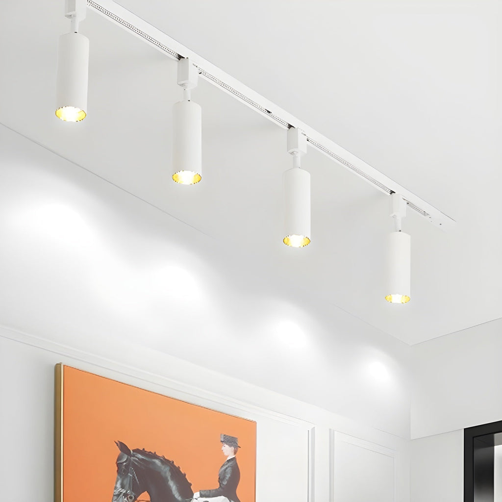 Sleek Cylinder Track Light | Ormexis