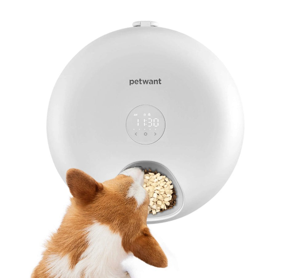 Sechs Fächer Intelligenter Automatischer Futterspender für Katzen und Hunde