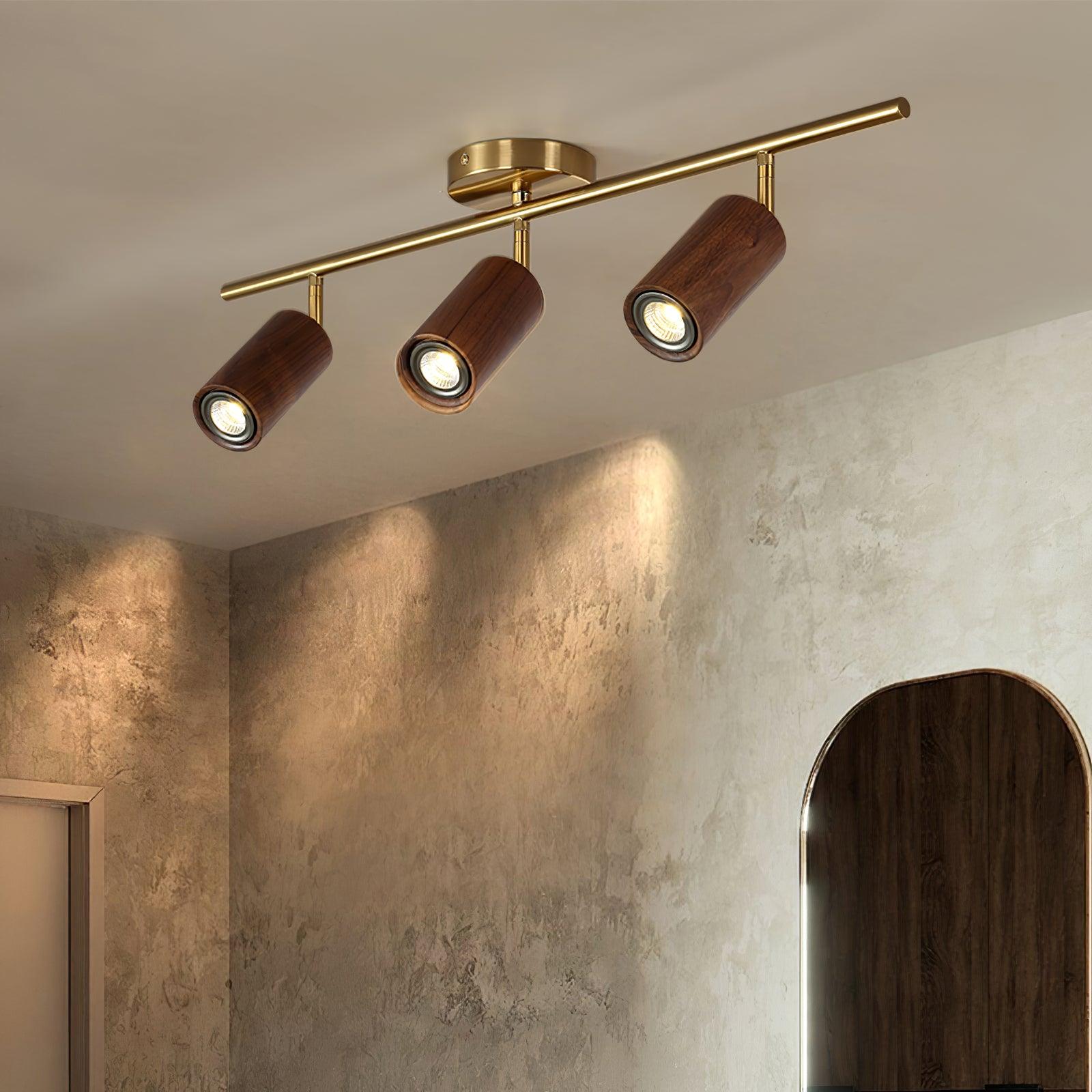 Architectural Wood Spotlight | Ormexis