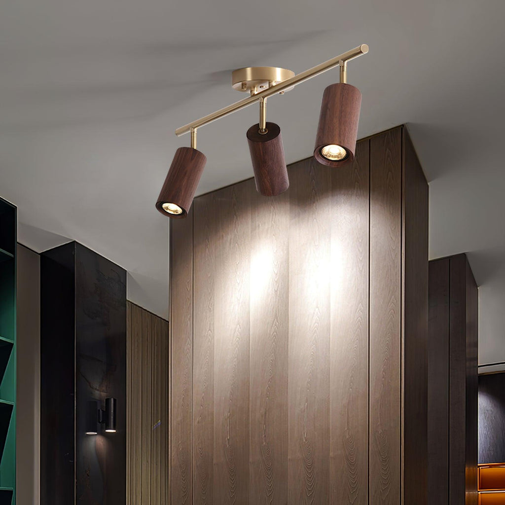 Architectural Wood Spotlight | Ormexis