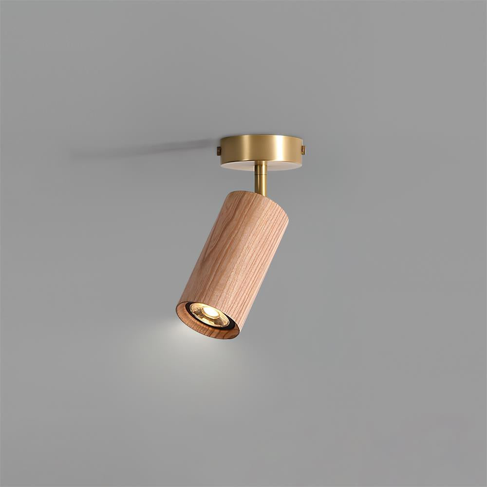 Architectural Wood Spotlight | Ormexis