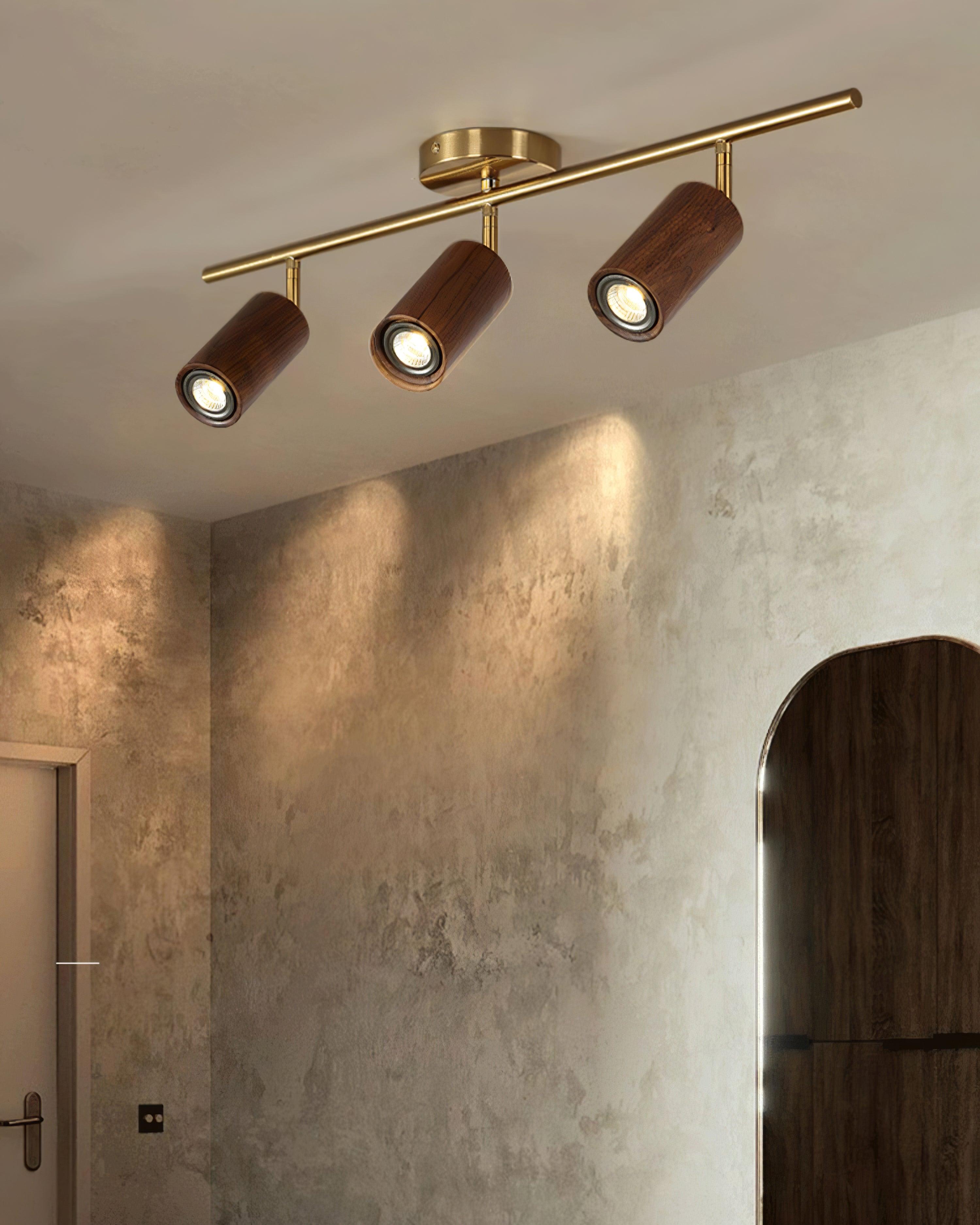 Architectural Wood Spotlight | Ormexis