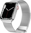 Apple Watch Silver Milanese Band With Buckle Finish