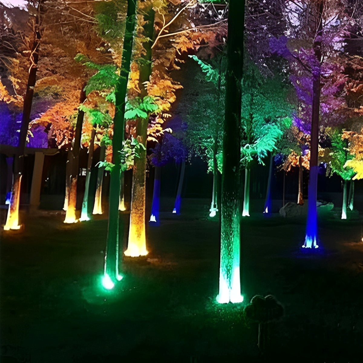 LED Landscape Arc Ring Light | Ormexis
