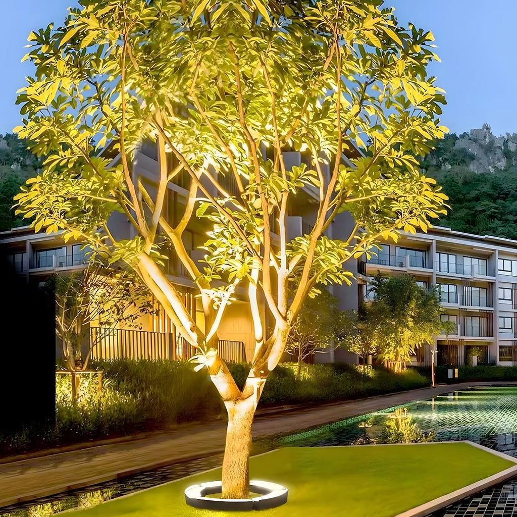 LED Landscape Arc Ring Light | Ormexis