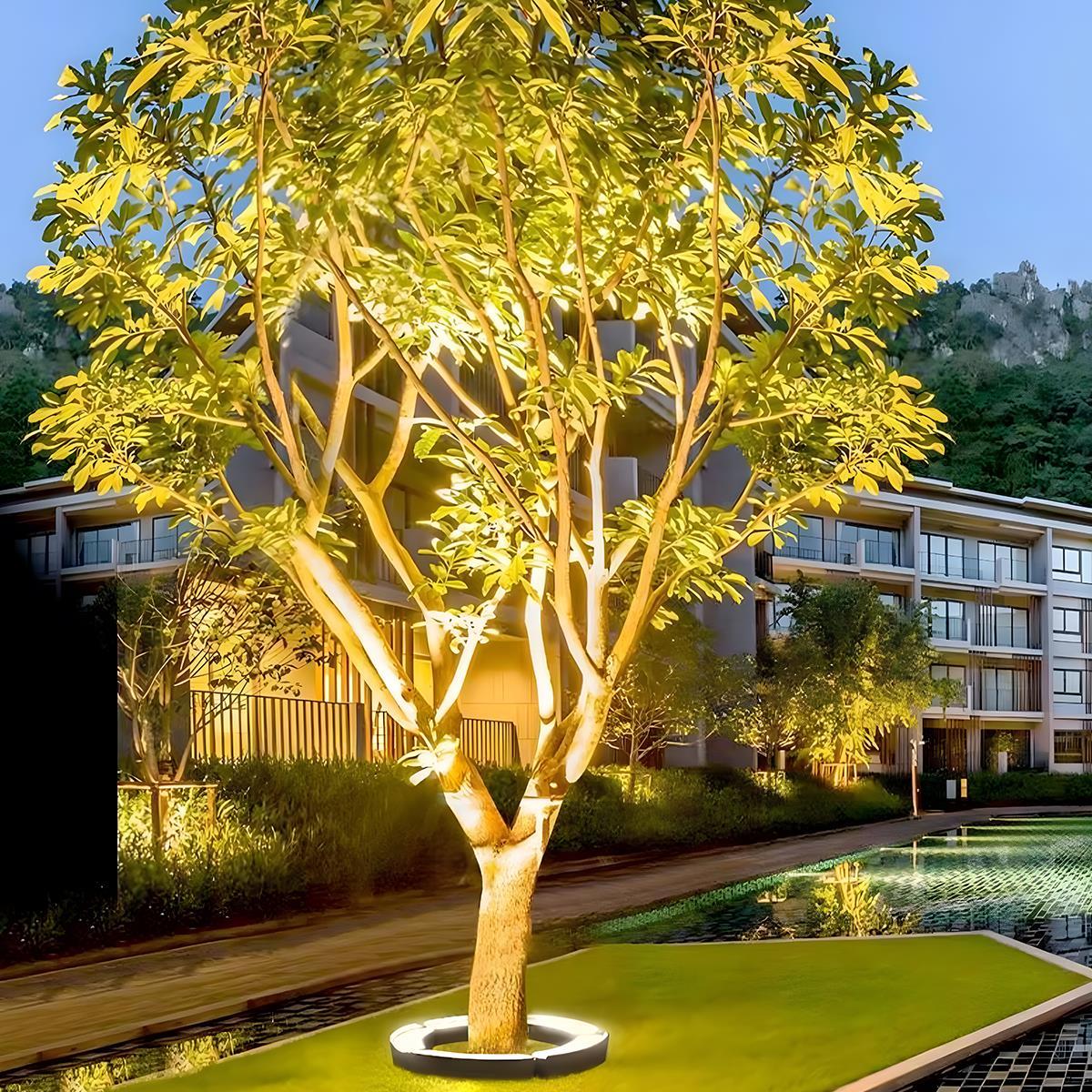 LED Landscape Arc Ring Light | Ormexis