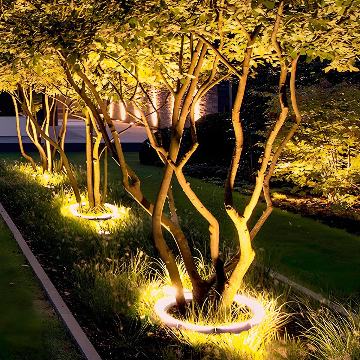 LED Landscape Arc Ring Light | Ormexis