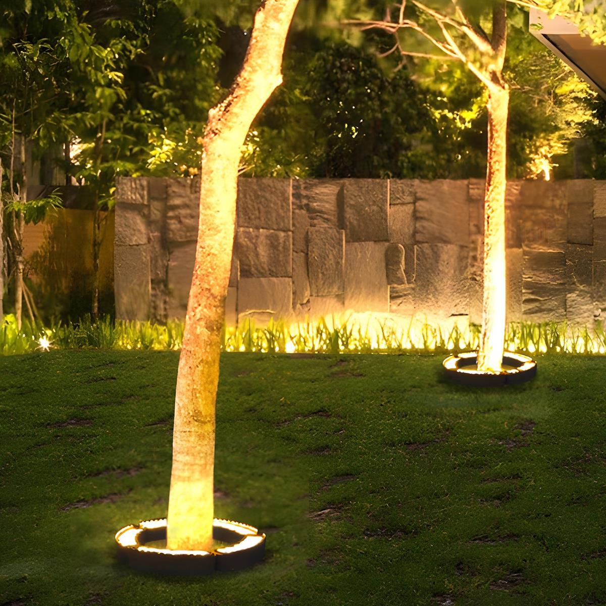 LED Landscape Arc Ring Light | Ormexis