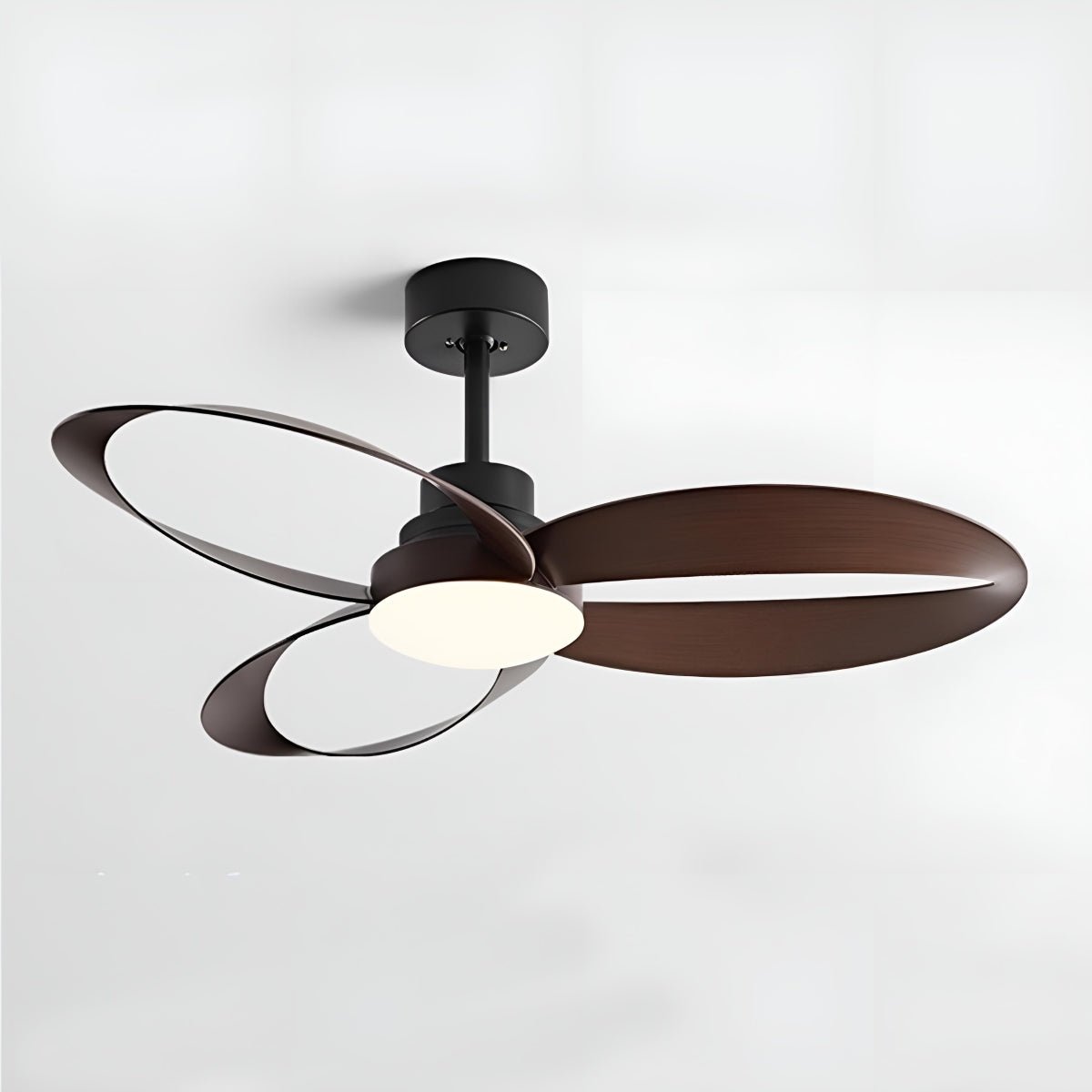 Petal Loop Ceiling Fan Light | Ormexis