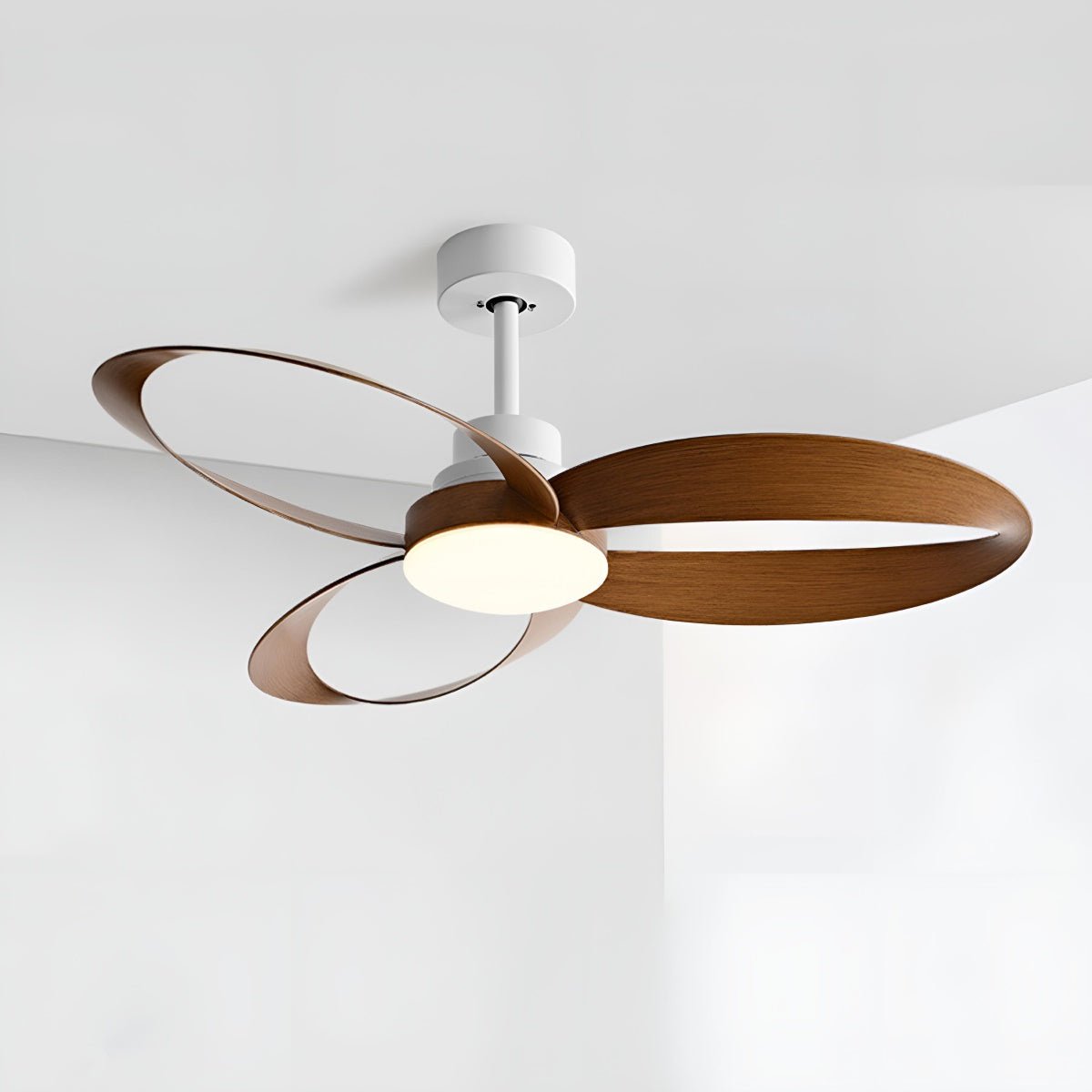 Petal Loop Ceiling Fan Light | Ormexis