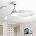 Petal Loop Ceiling Fan Light | Ormexis