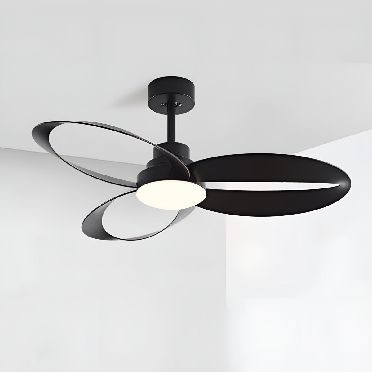 Petal Loop Ceiling Fan Light | Ormexis