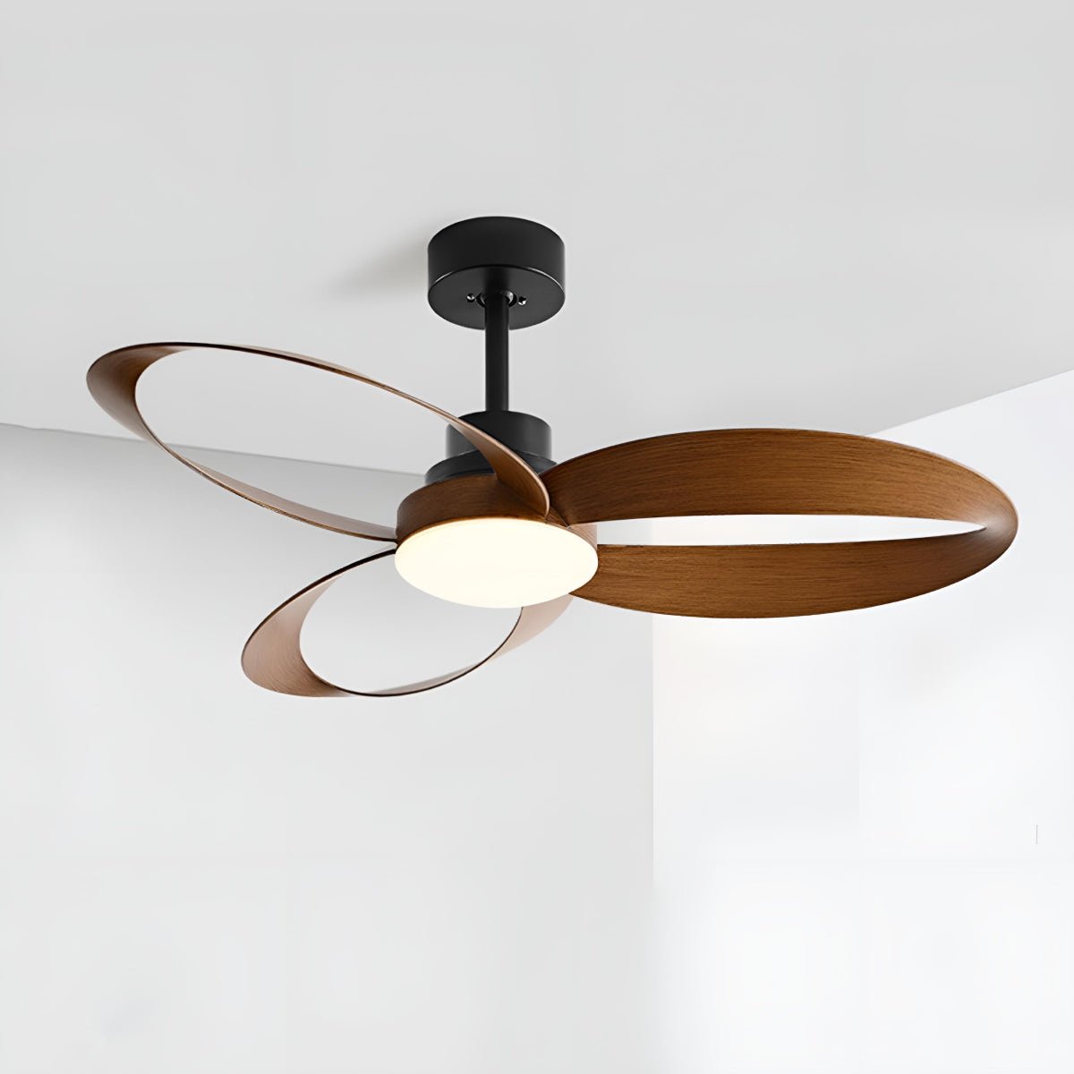 Petal Loop Ceiling Fan Light | Ormexis