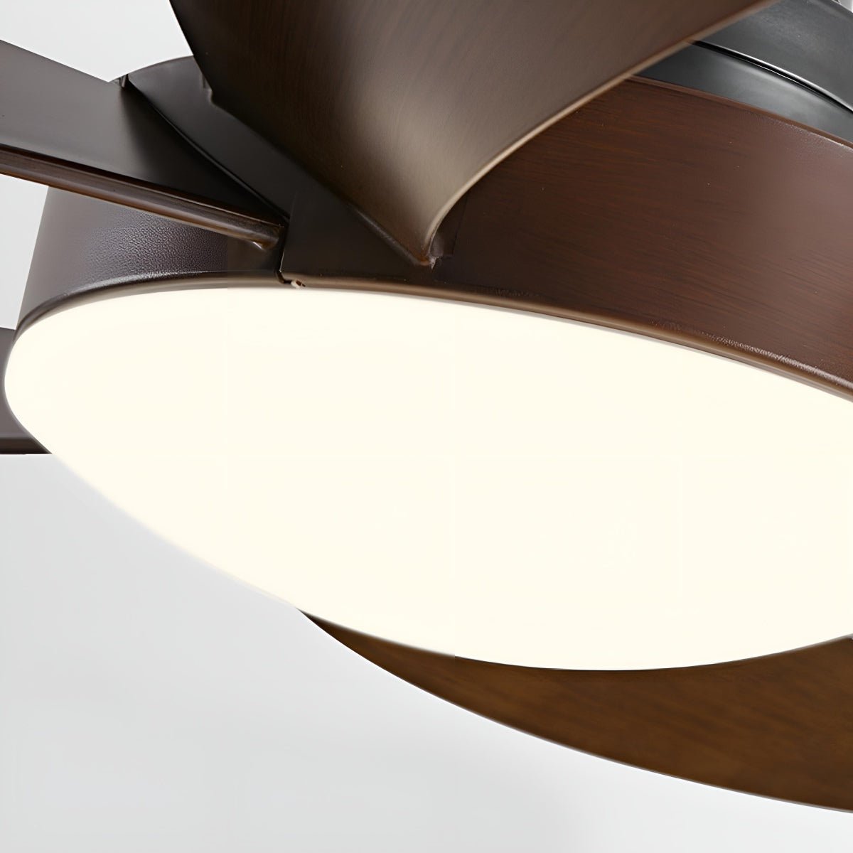 Petal Loop Ceiling Fan Light | Ormexis