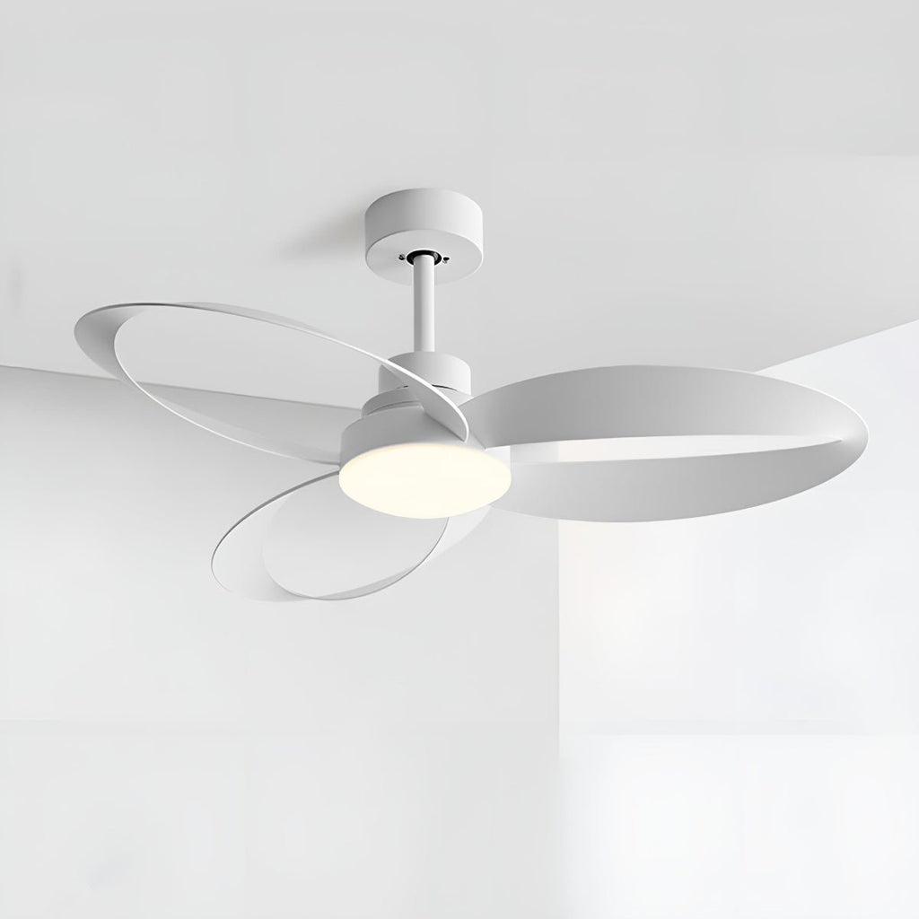 Petal Loop Ceiling Fan Light | Ormexis