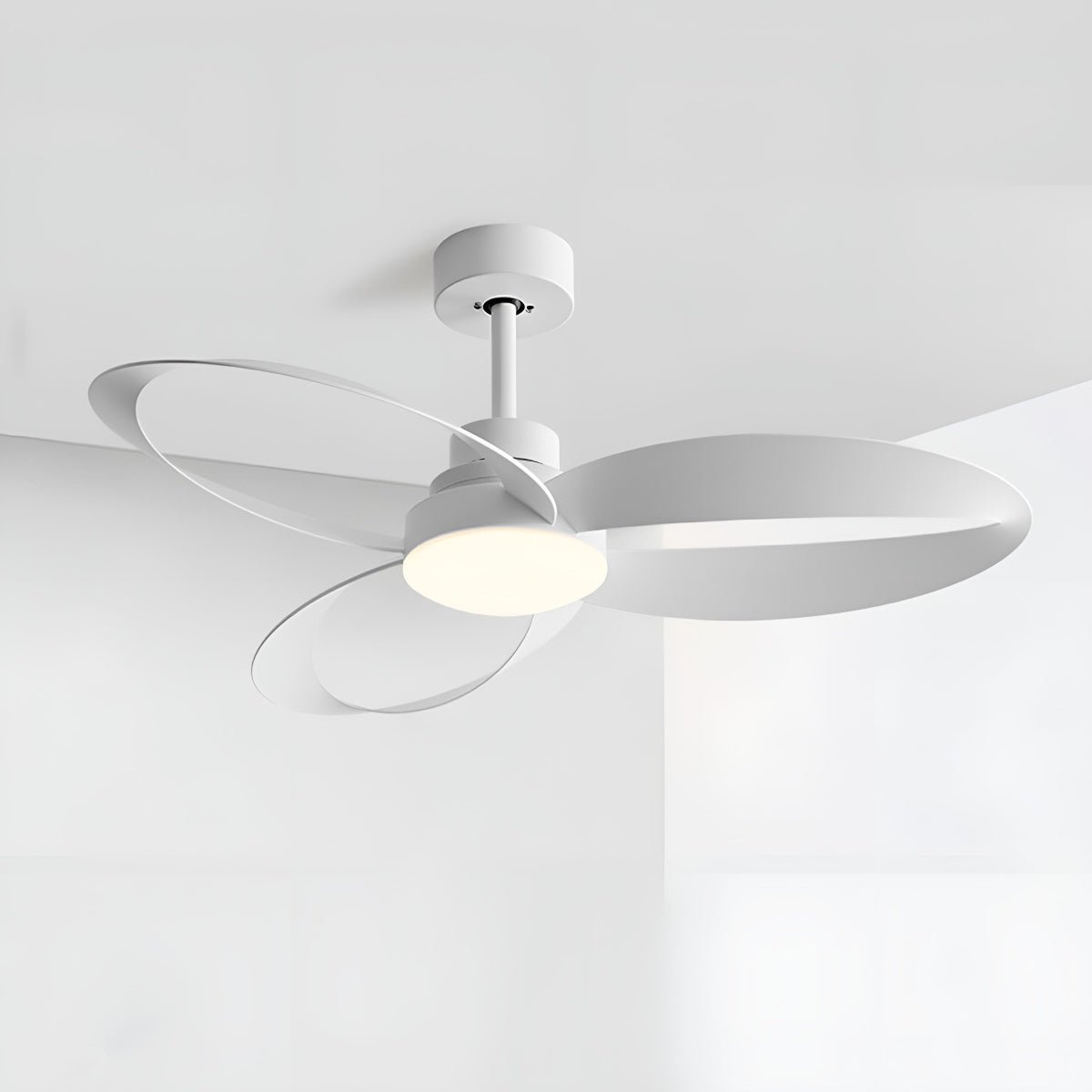 Petal Loop Ceiling Fan Light | Ormexis