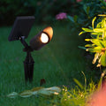 Adjustable Solar Landscape Spot Light | Ormexis