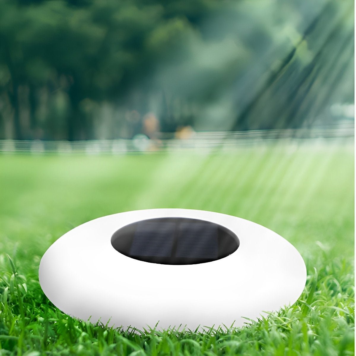 Round Hollow Ring Floating Pool Light | Ormexis