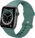 Apple Watch Silicone Strap With Cactus Pattern Design