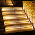 Recessed Linear LED Step Light | Ormexis
