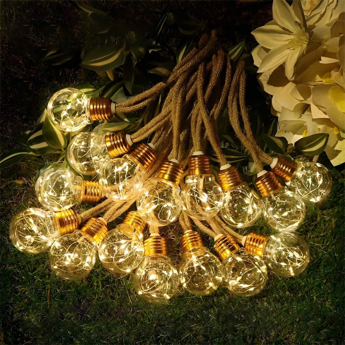 Clear Bulb Rope String Lights | Ormexis