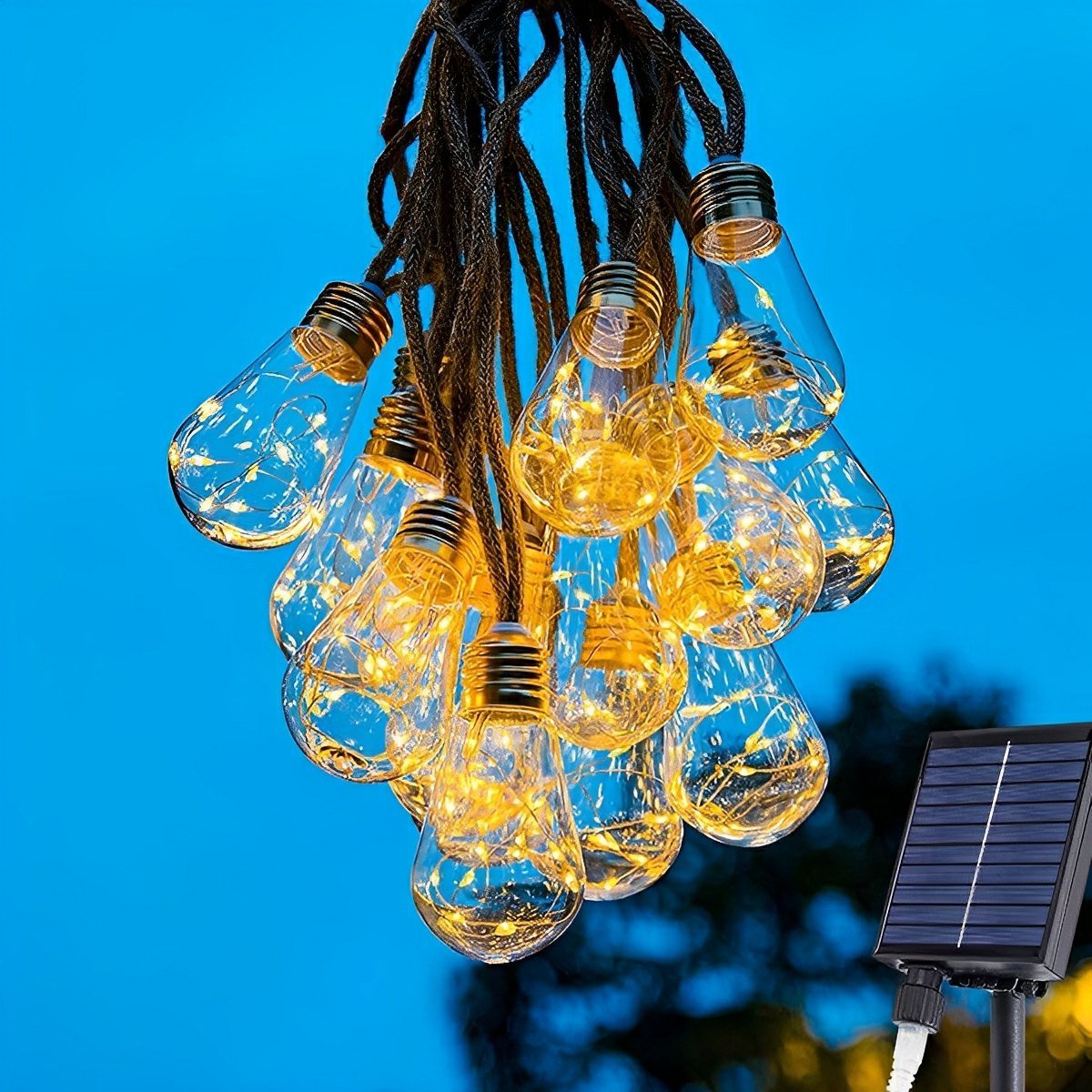 Clear Bulb Rope String Lights | Ormexis